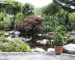 Teich & Garten Baumschule / Graz / Graz St.Peter / Heinzelmaennchen
