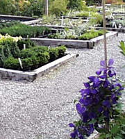 Teich & Garten Baumschule / Graz / Graz St.Peter / Heinzelmaennchen